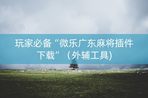 玩家必备“微乐广东麻将插件下载”（外辅工具)