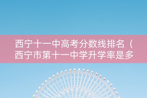 西宁十一中高考分数线排名（西宁市第十一中学升学率是多少）