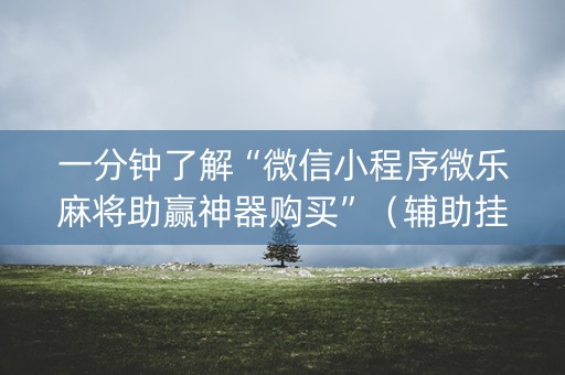 一分钟了解“微信小程序微乐麻将助赢神器购买”（辅助挂发牌规律)