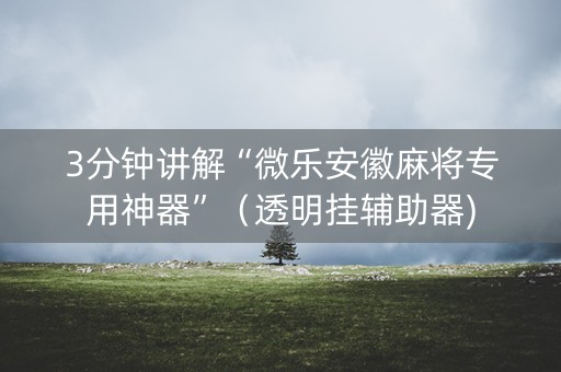 3分钟讲解“微乐安徽麻将专用神器”（透明挂辅助器)