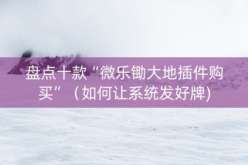 盘点十款“微乐锄大地插件购买”（如何让系统发好牌)