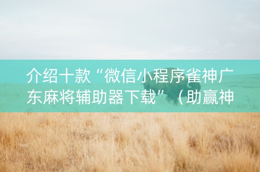 介绍十款“微信小程序雀神广东麻将辅助器下载”（助赢神器购买)