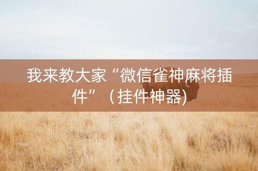我来教大家“微信雀神麻将插件”（挂件神器)
