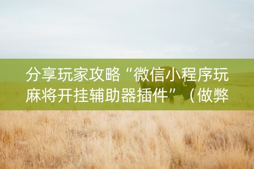 分享玩家攻略“微信小程序玩麻将开挂辅助器插件”（做弊器软件下载)