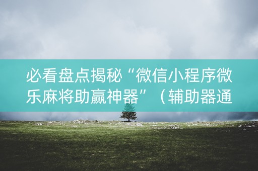 必看盘点揭秘“微信小程序微乐麻将助赢神器”（辅助器通用版)