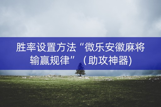 胜率设置方法“微乐安徽麻将输赢规律”（助攻神器)