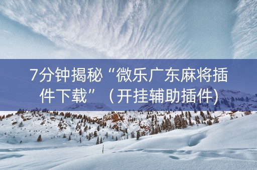7分钟揭秘“微乐广东麻将插件下载”（开挂辅助插件)