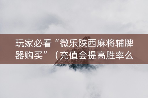 玩家必看“微乐陕西麻将辅牌器购买”（充值会提高胜率么)