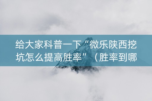 给大家科普一下“微乐陕西挖坑怎么提高胜率”（胜率到哪调)