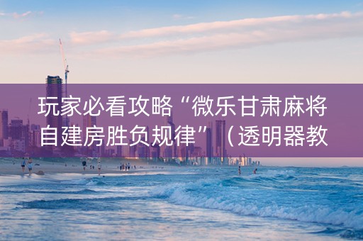玩家必看攻略“微乐甘肃麻将自建房胜负规律”（透明器教程)