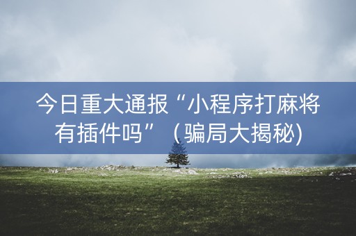 今日重大通报“小程序打麻将有插件吗”（骗局大揭秘)