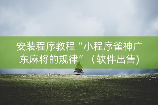 安装程序教程“小程序雀神广东麻将的规律”（软件出售)