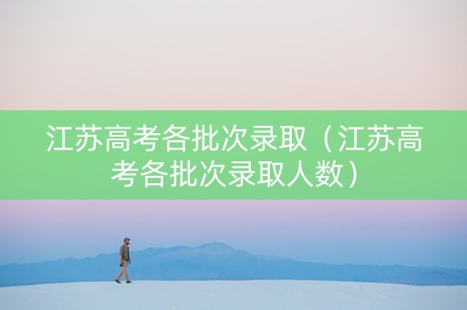 江苏高考各批次录取（江苏高考各批次录取人数）