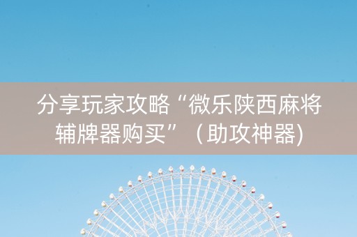 分享玩家攻略“微乐陕西麻将辅牌器购买”（助攻神器)