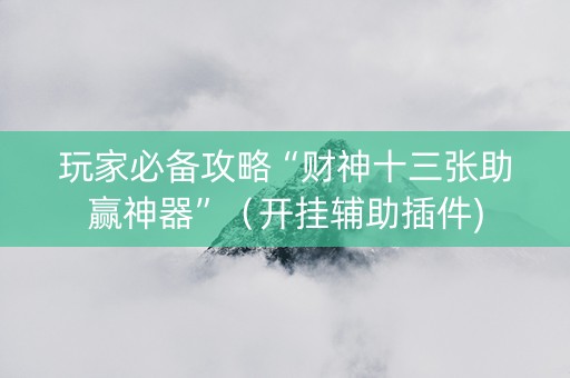 玩家必备攻略“财神十三张助赢神器”（开挂辅助插件)