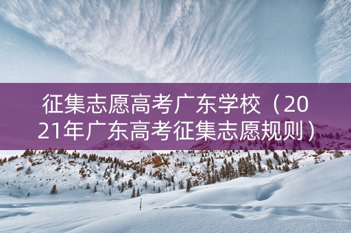 征集志愿高考广东学校（2021年广东高考征集志愿规则）