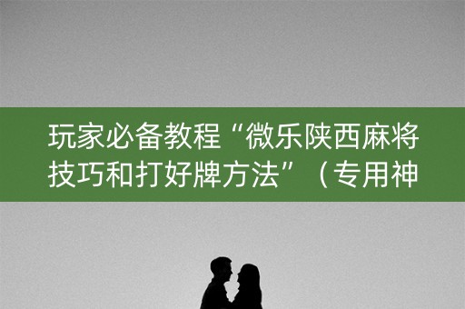 玩家必备教程“微乐陕西麻将技巧和打好牌方法”（专用神器下载)