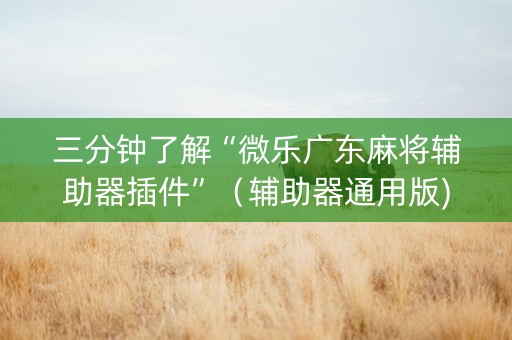 三分钟了解“微乐广东麻将辅助器插件”（辅助器通用版)
