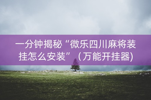 一分钟揭秘“微乐四川麻将装挂怎么安装”（万能开挂器)