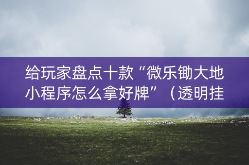 给玩家盘点十款“微乐锄大地小程序怎么拿好牌”（透明挂辅助器)
