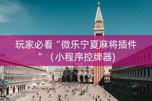 玩家必看“微乐宁夏麻将插件”（小程序控牌器)