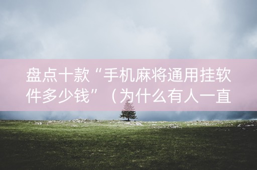 盘点十款“手机麻将通用挂软件多少钱”（为什么有人一直赢)