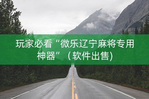 玩家必看“微乐辽宁麻将专用神器”（软件出售)