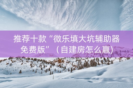 推荐十款“微乐填大坑辅助器免费版”（自建房怎么赢)