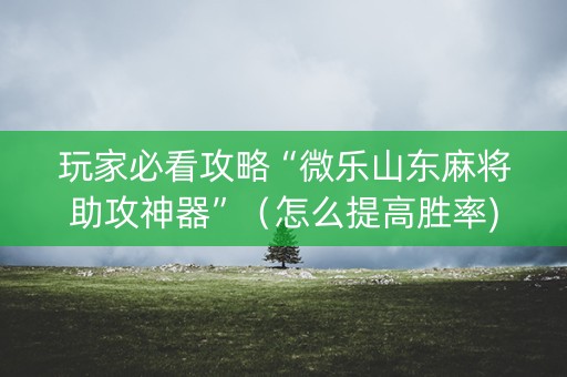 玩家必看攻略“微乐山东麻将助攻神器”（怎么提高胜率)