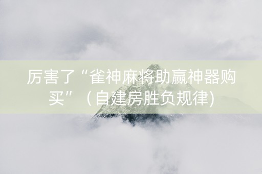 厉害了“雀神麻将助赢神器购买”（自建房胜负规律)