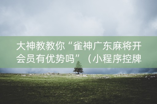 大神教教你“雀神广东麻将开会员有优势吗”（小程序控牌器)