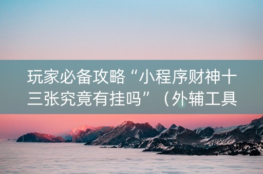 玩家必备攻略“小程序财神十三张究竟有挂吗”（外辅工具)