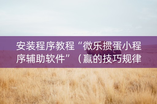 安装程序教程“微乐掼蛋小程序辅助软件”（赢的技巧规律)