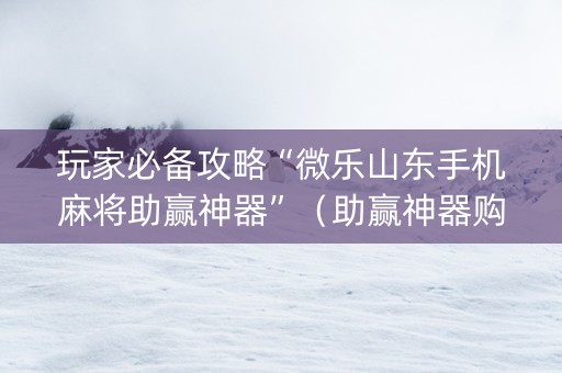 玩家必备攻略“微乐山东手机麻将助赢神器”（助赢神器购买)