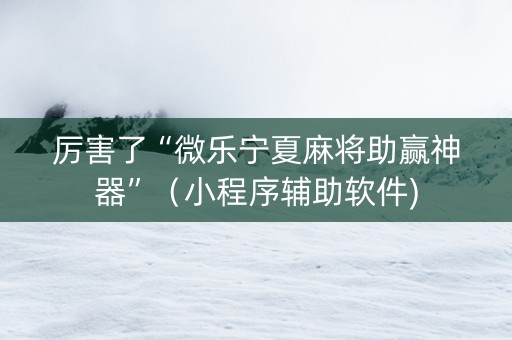 厉害了“微乐宁夏麻将助赢神器”（小程序辅助软件)