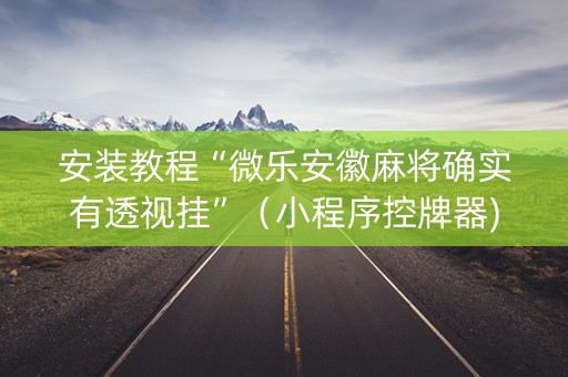 安装教程“微乐安徽麻将确实有透视挂”（小程序控牌器)