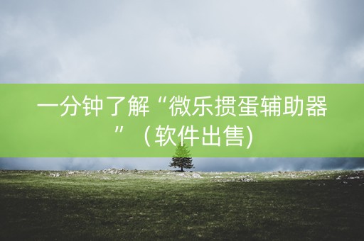一分钟了解“微乐掼蛋辅助器”（软件出售)