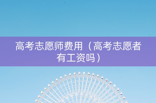 高考志愿师费用（高考志愿者有工资吗）