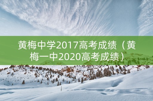 黄梅中学2017高考成绩（黄梅一中2020高考成绩）