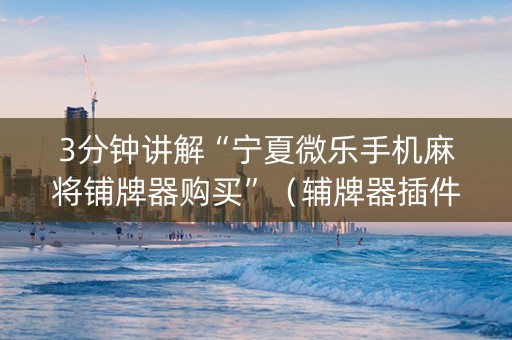 3分钟讲解“宁夏微乐手机麻将铺牌器购买”（辅牌器插件购买)