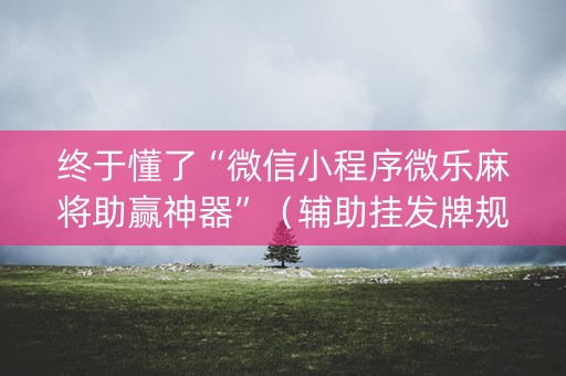 终于懂了“微信小程序微乐麻将助赢神器”（辅助挂发牌规律)
