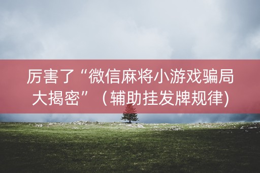 厉害了“微信麻将小游戏骗局大揭密”（辅助挂发牌规律)