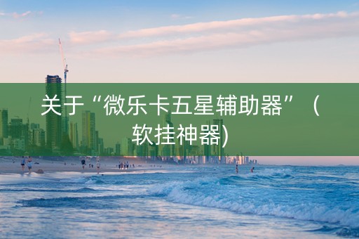 关于“微乐卡五星辅助器”（软挂神器)
