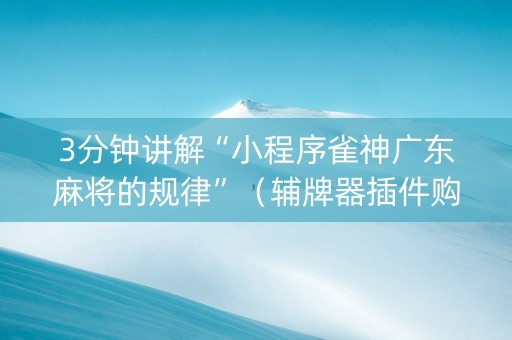 3分钟讲解“小程序雀神广东麻将的规律”（辅牌器插件购买)