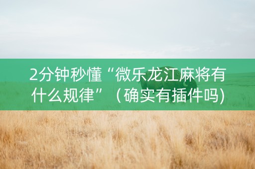 2分钟秒懂“微乐龙江麻将有什么规律”（确实有插件吗)