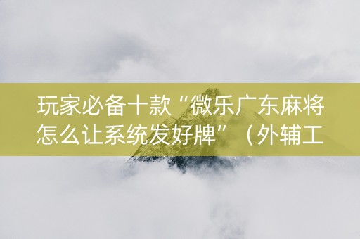 玩家必备十款“微乐广东麻将怎么让系统发好牌”（外辅工具)