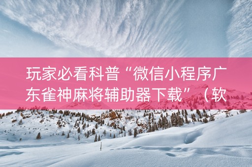 玩家必看科普“微信小程序广东雀神麻将辅助器下载”（软挂神器)