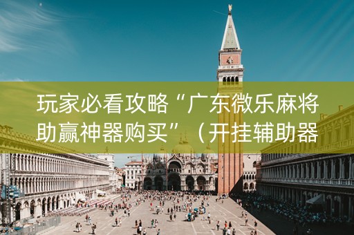 玩家必看攻略“广东微乐麻将助赢神器购买”（开挂辅助器插件)