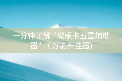 一分钟了解“微乐卡五星辅助器”（万能开挂器)