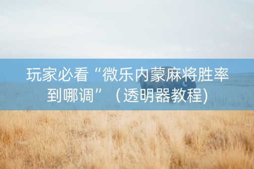 玩家必看“微乐内蒙麻将胜率到哪调”（透明器教程)